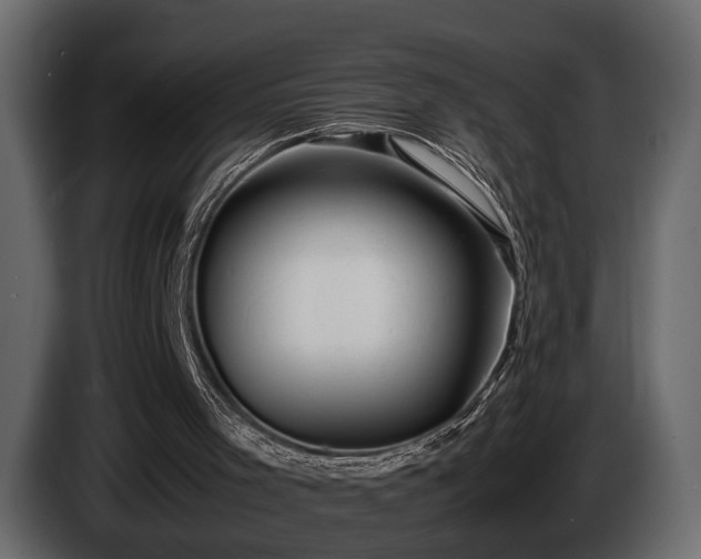 X0000085730001200703231058