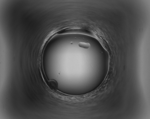 X0000085730003200703231058