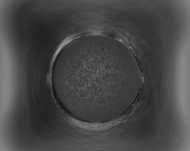 X0000085730006200703231058