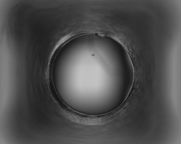 X0000085730008200703231058