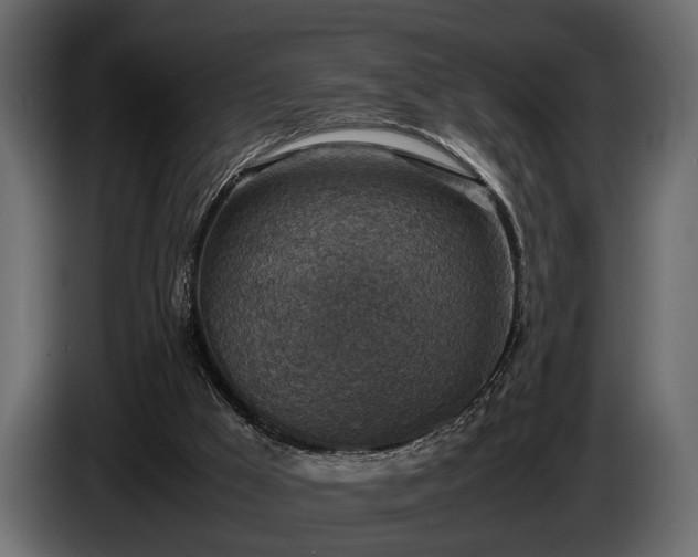 X0000085730009200703231058