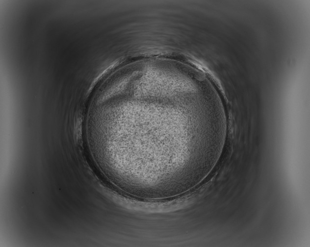 X0000085730010200703231058