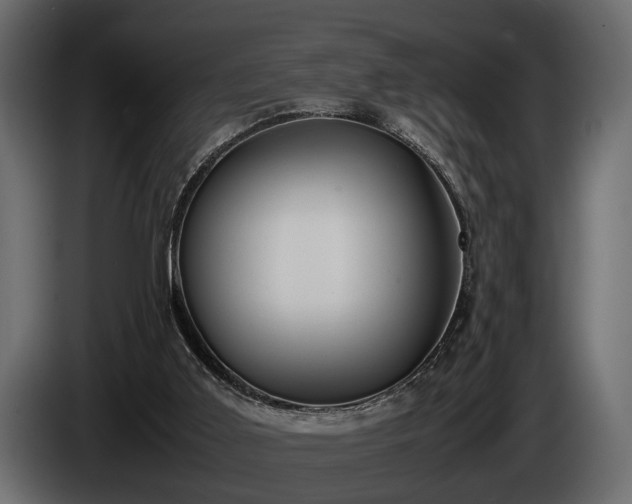 X0000085730011200703231058