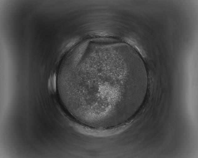 X0000085730014200703231058