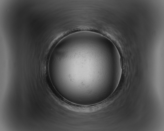 X0000085730015200703231058