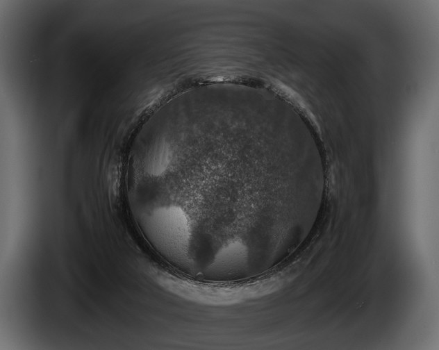 X0000085730018200703231058