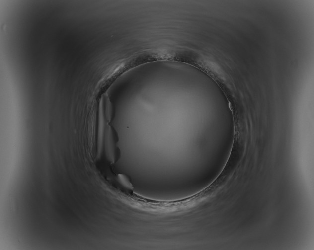 X0000085730023200703231058