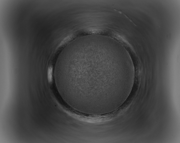 X0000085730024200703231058