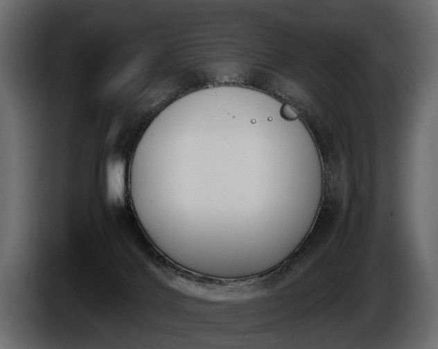 X0000085730028200703231058