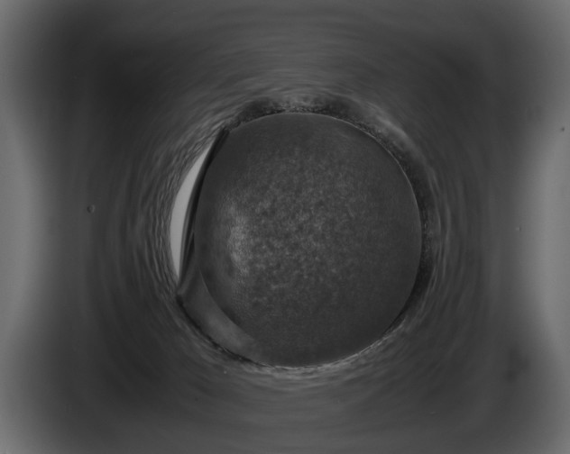 X0000085730029200703231058