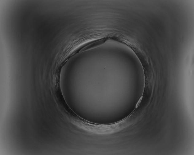 X0000085730031200703231058