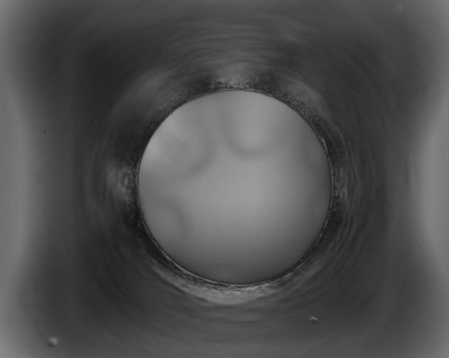 X0000085730036200703231058