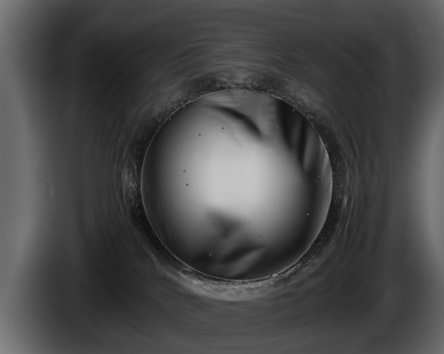 X0000085730040200703231058