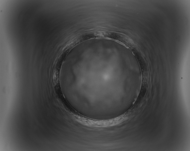 X0000085730043200703231058