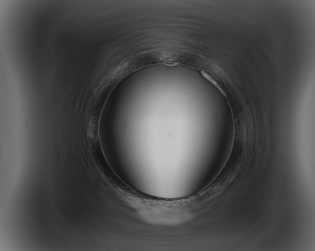 X0000085730044200703231057