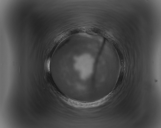 X0000085730047200703231057