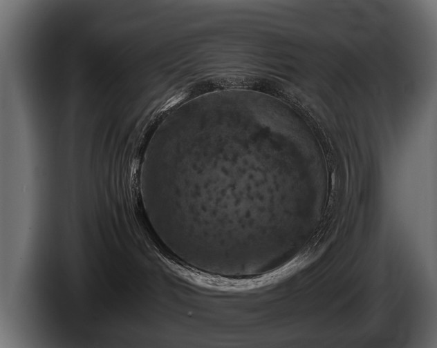 X0000085730048200703231057