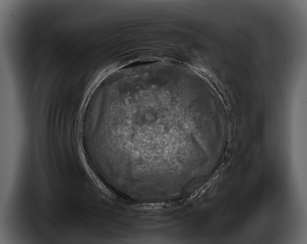 X0000085730049200703231057