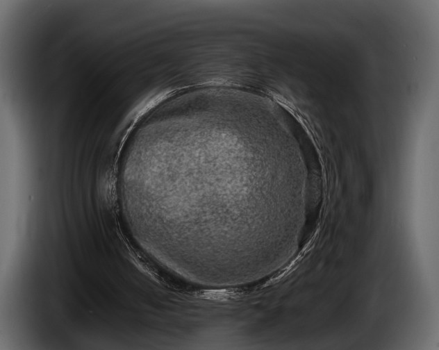 X0000085730050200703231057