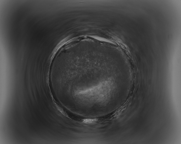 X0000085730051200703231057