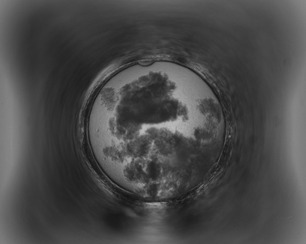 X0000085730053200703231057