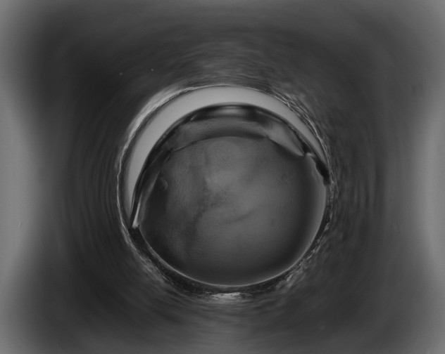 X0000085730054200703231057