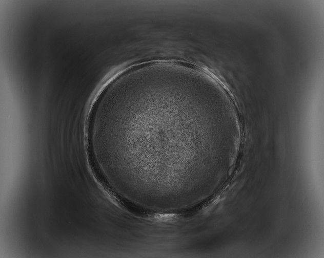 X0000085730055200703231057