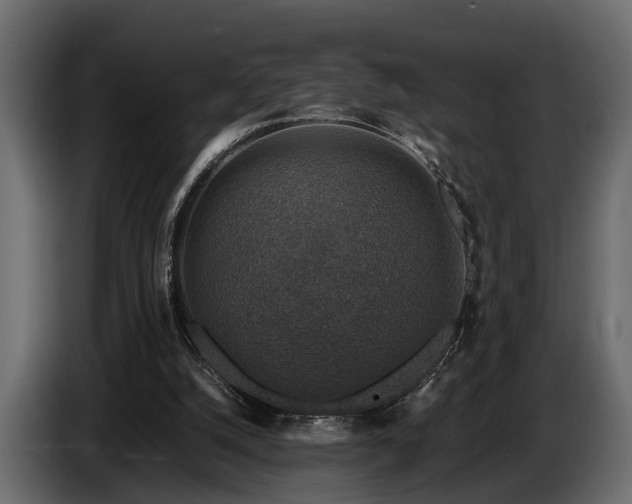 X0000085730056200703231057