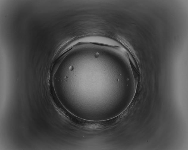 X0000085730058200703231057