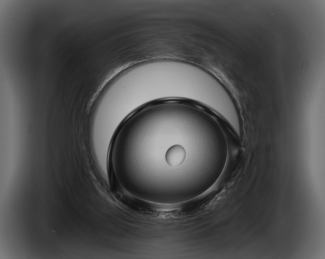 X0000085730060200703231057