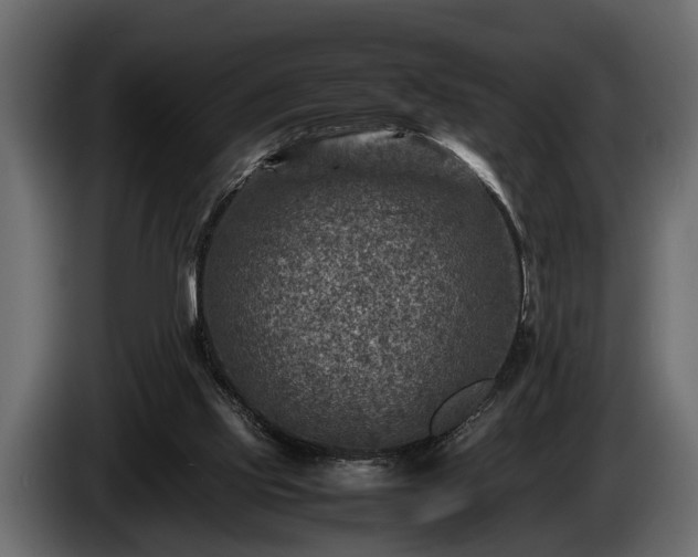 X0000085730061200703231057