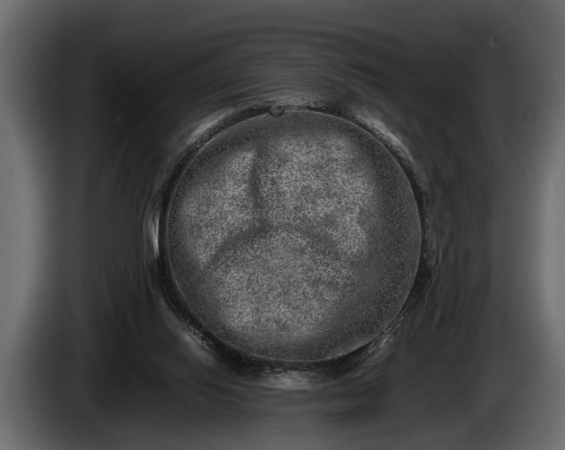 X0000085730062200703231057