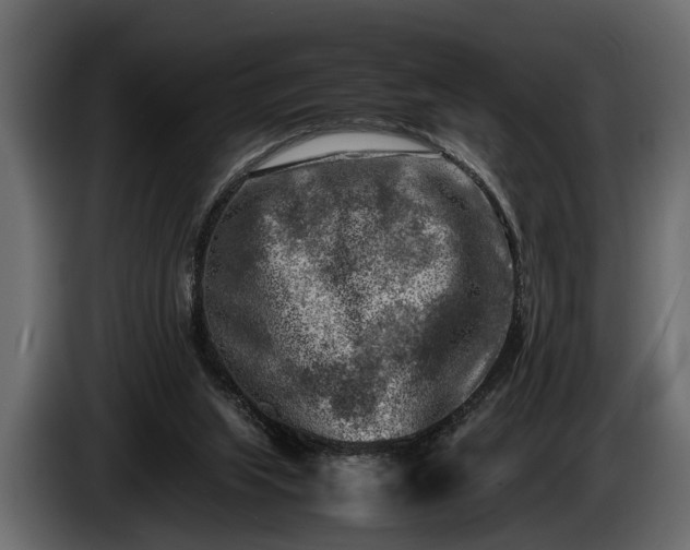 X0000085730063200703231057