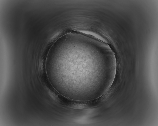 X0000085730066200703231057