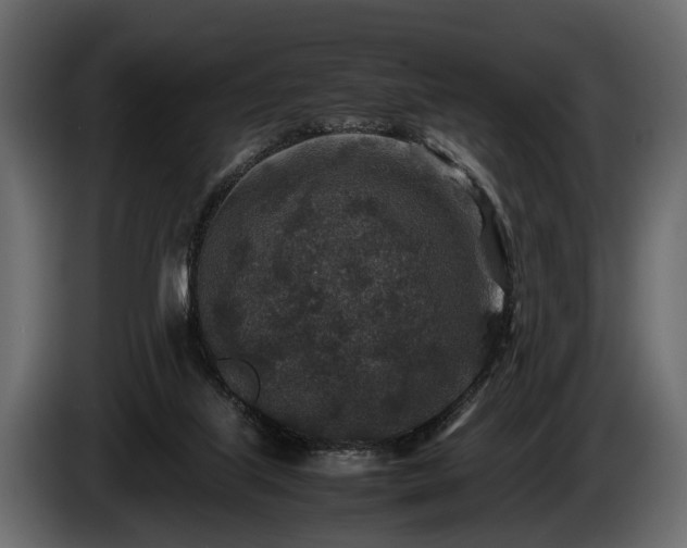 X0000085730067200703231057