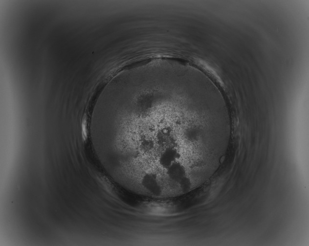 X0000085730069200703231057