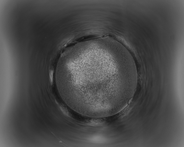 X0000085730070200703231057