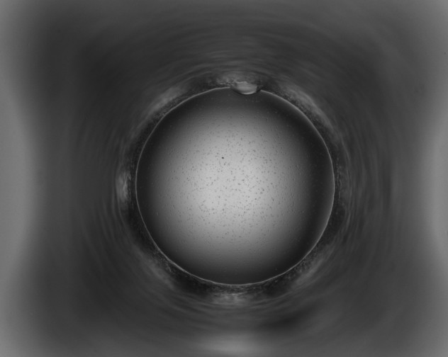 X0000085730071200703231057