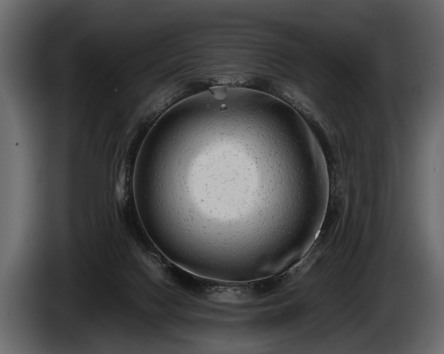 X0000085730074200703231057