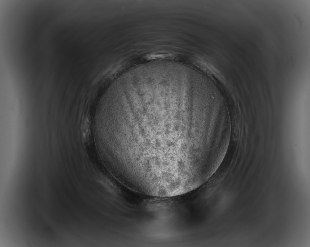 X0000085730077200703231057