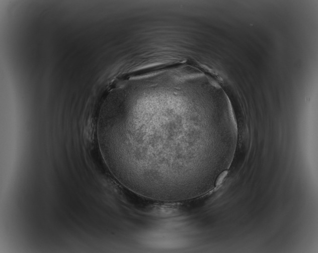 X0000085730078200703231057