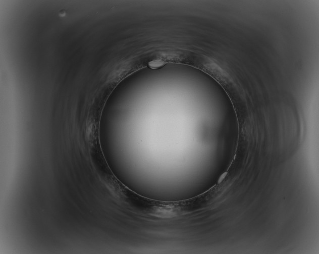 X0000085730079200703231057