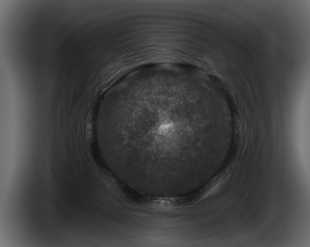 X0000085730080200703231057