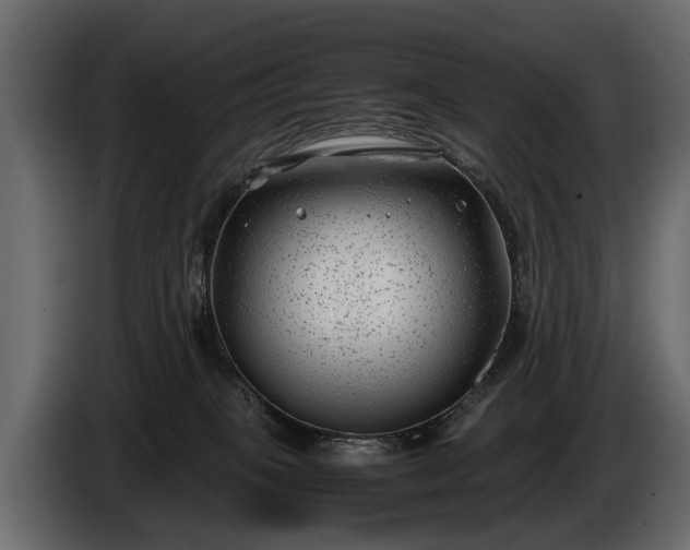 X0000085730085200703231057