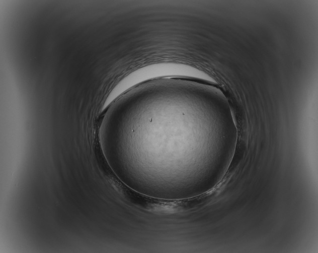 X0000085730086200703231057