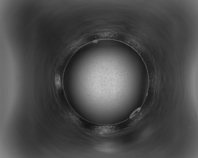 X0000085730089200703231057