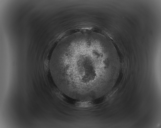 X0000085730093200703231057