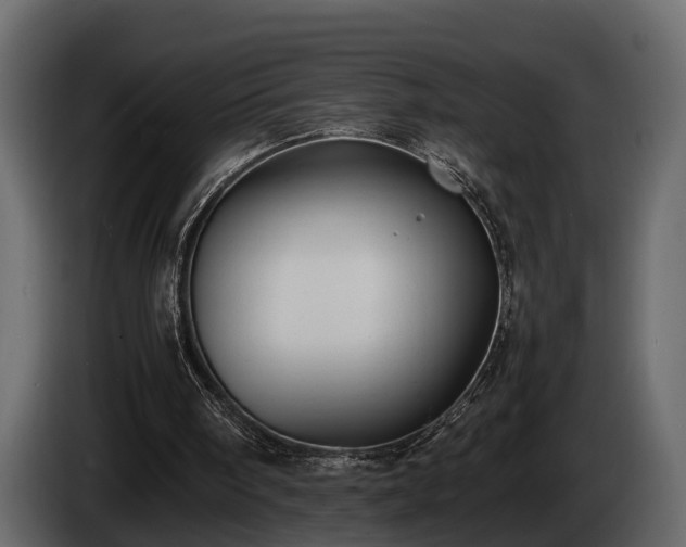 X0000085730098200703231057