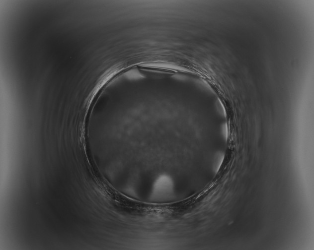 X0000085730099200703231057