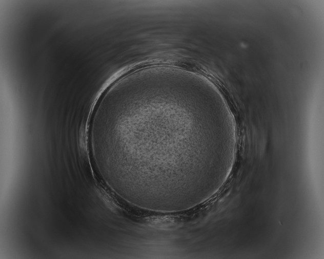 X0000085730100200703231057